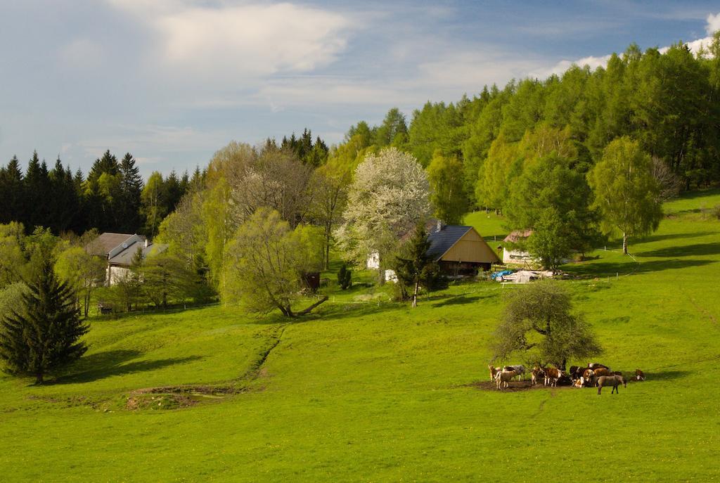 Penzion Stara Vapenka Svinná Exterior photo